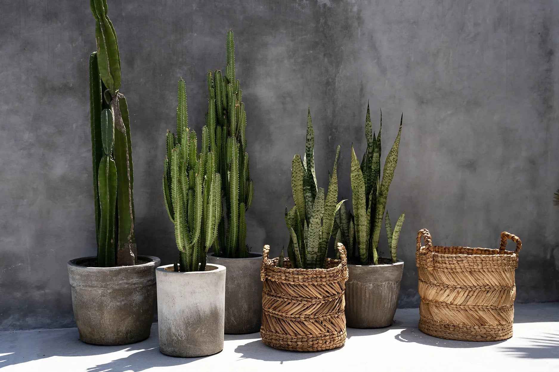 The Banana Zigzag Basket - L - Bambuá