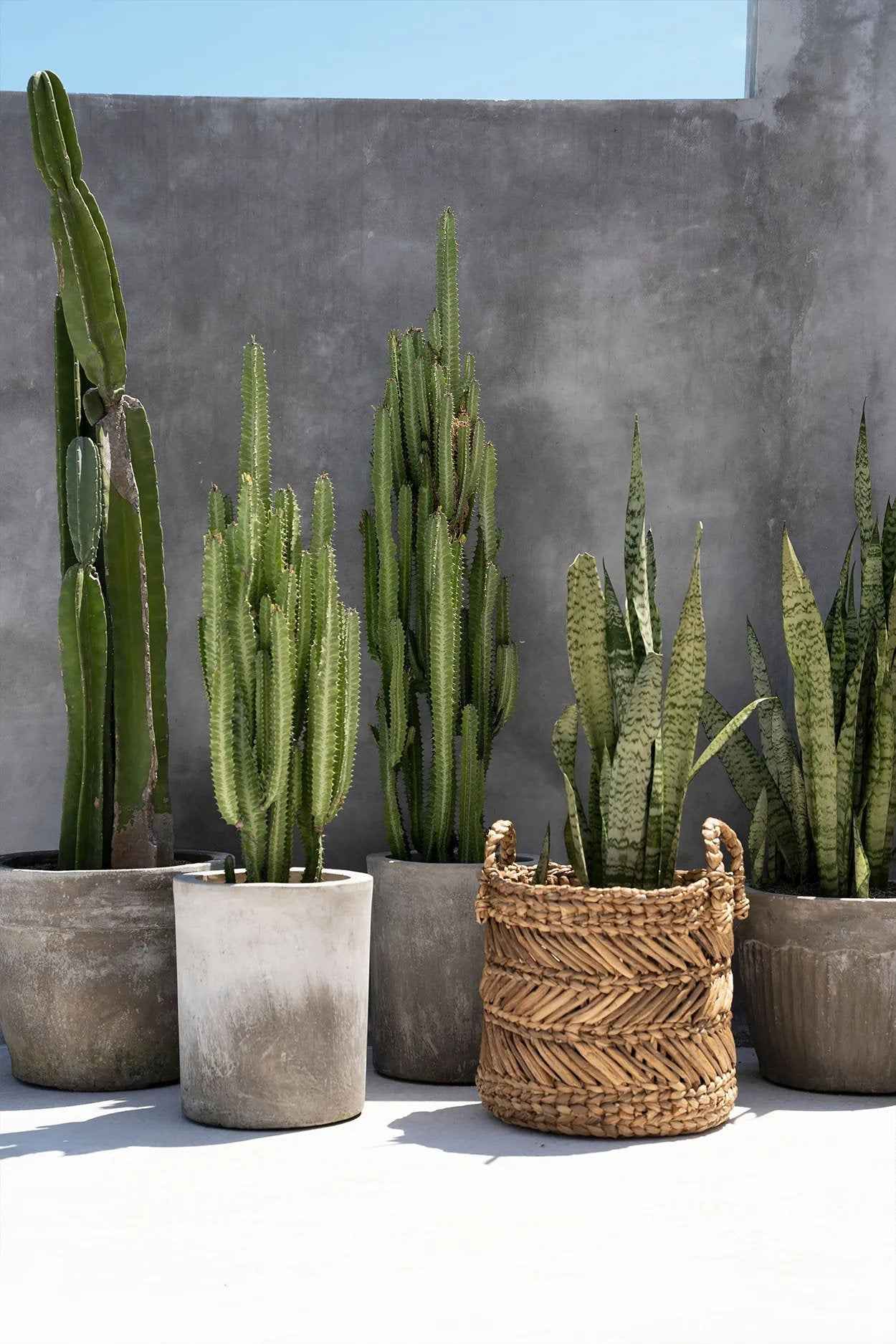 The Banana Zigzag Basket - L - Bambuá