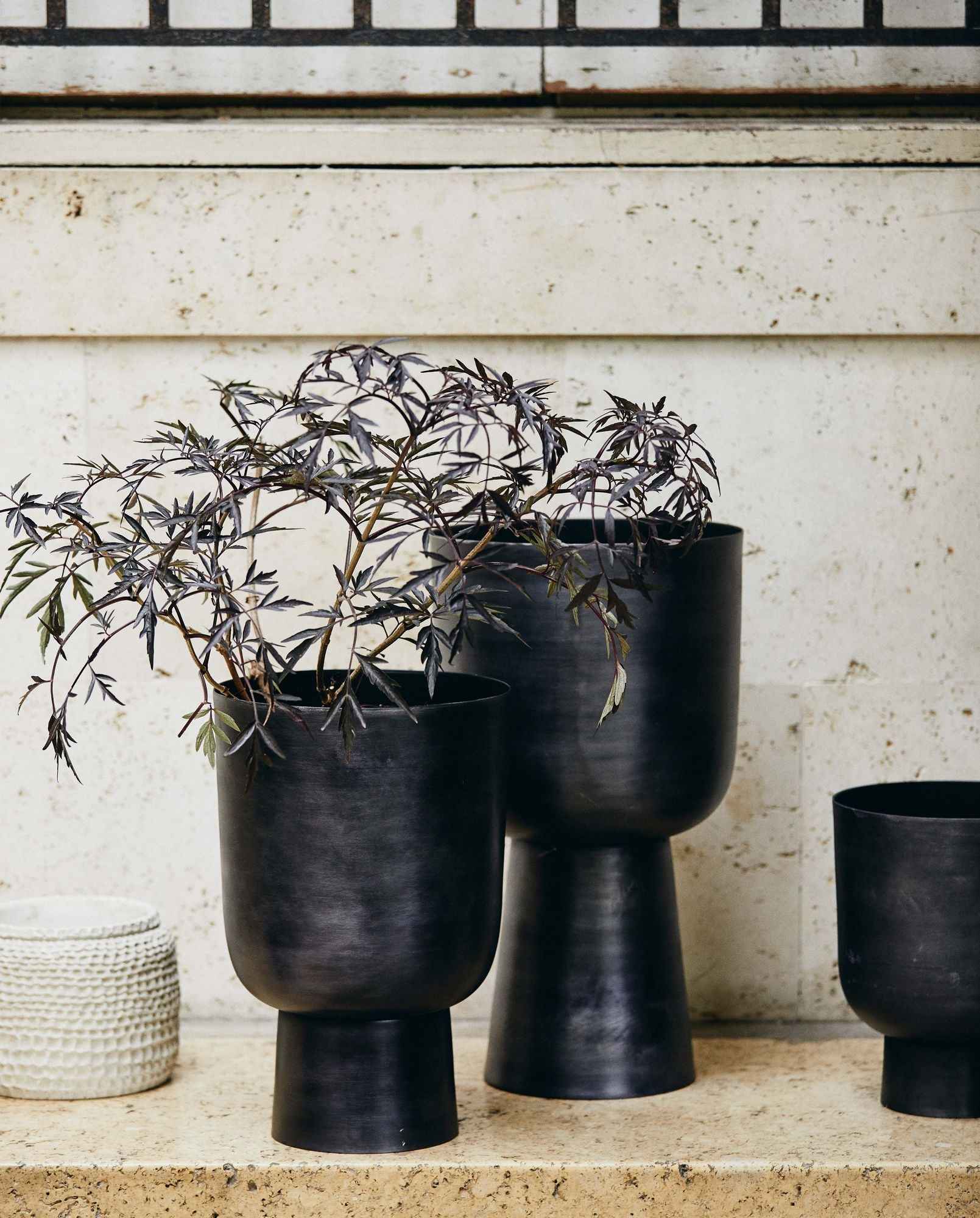 GALOA planter, L - anthracite - Bambuá