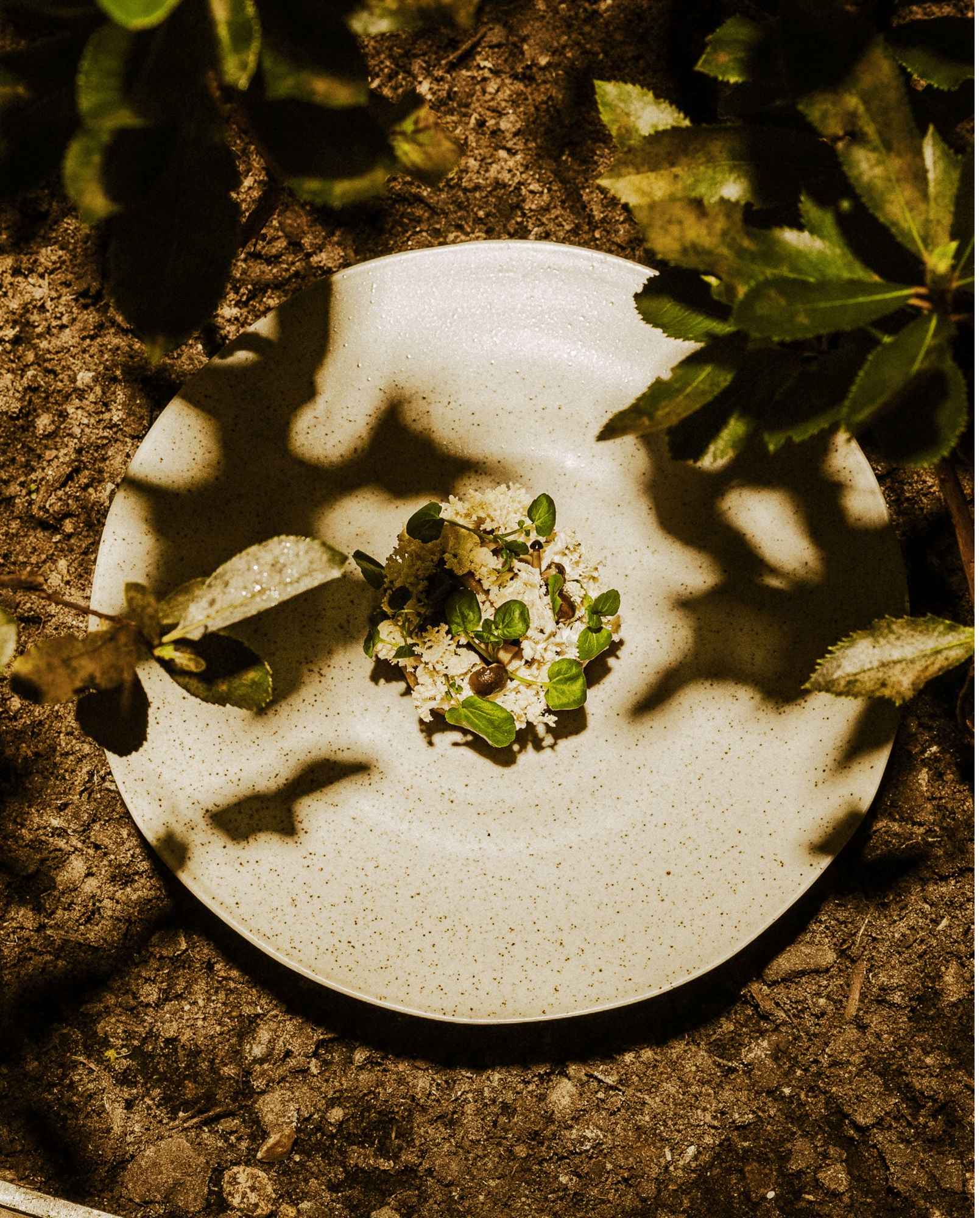 GRAINY plate, L, sand