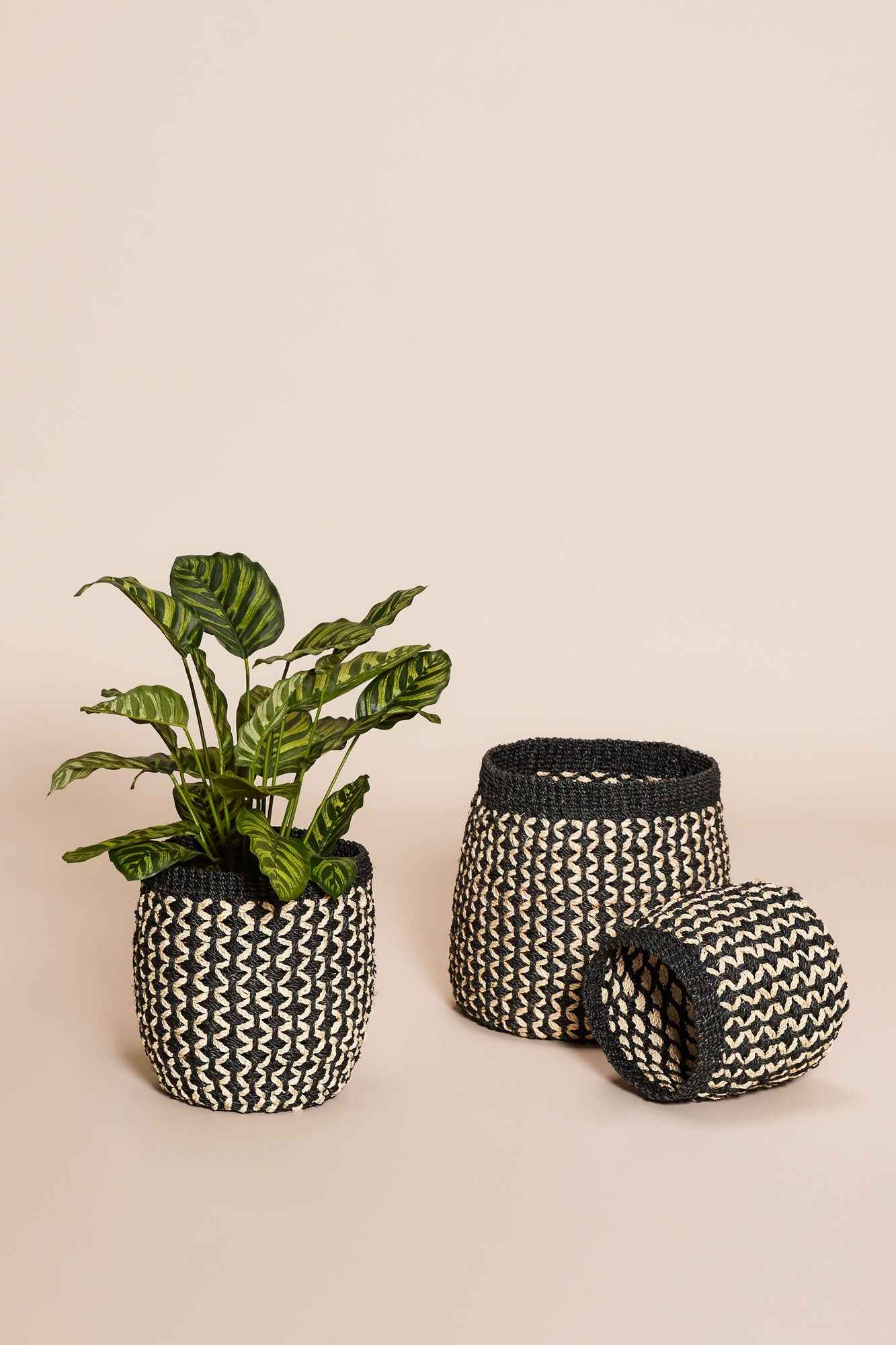 Sprout Baskets Black/Natural (set of 3) - Bambuá