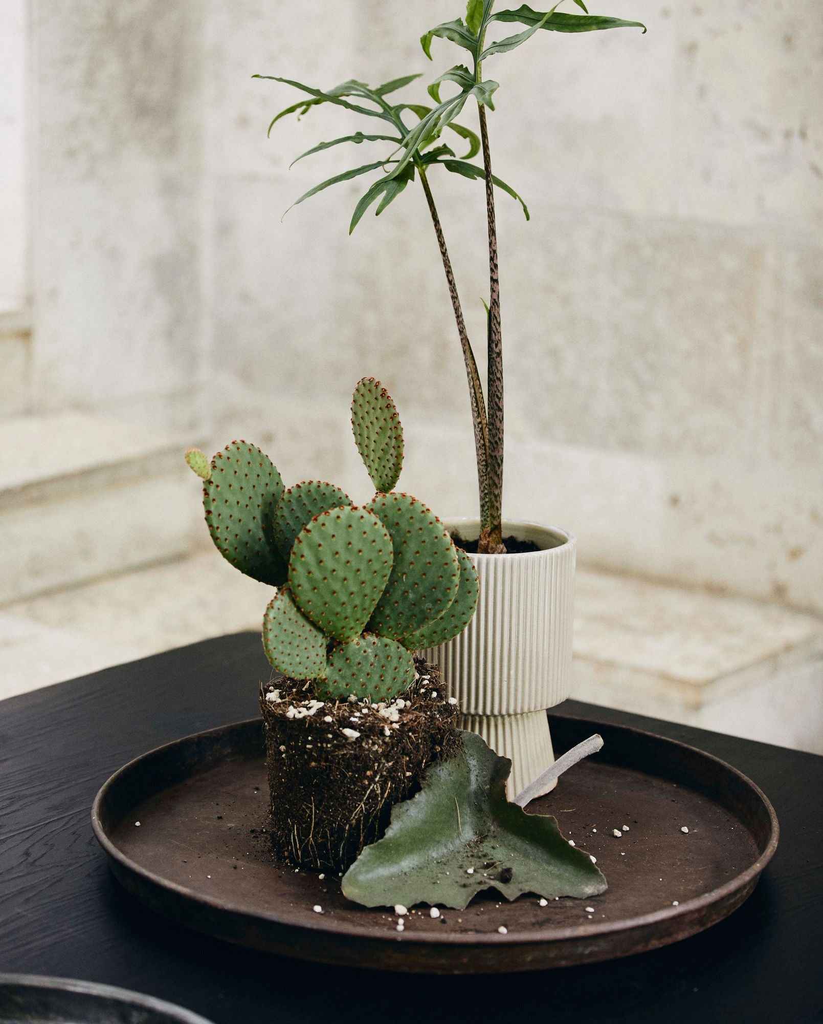 LOMBOK round tray, M, antique - silver finish