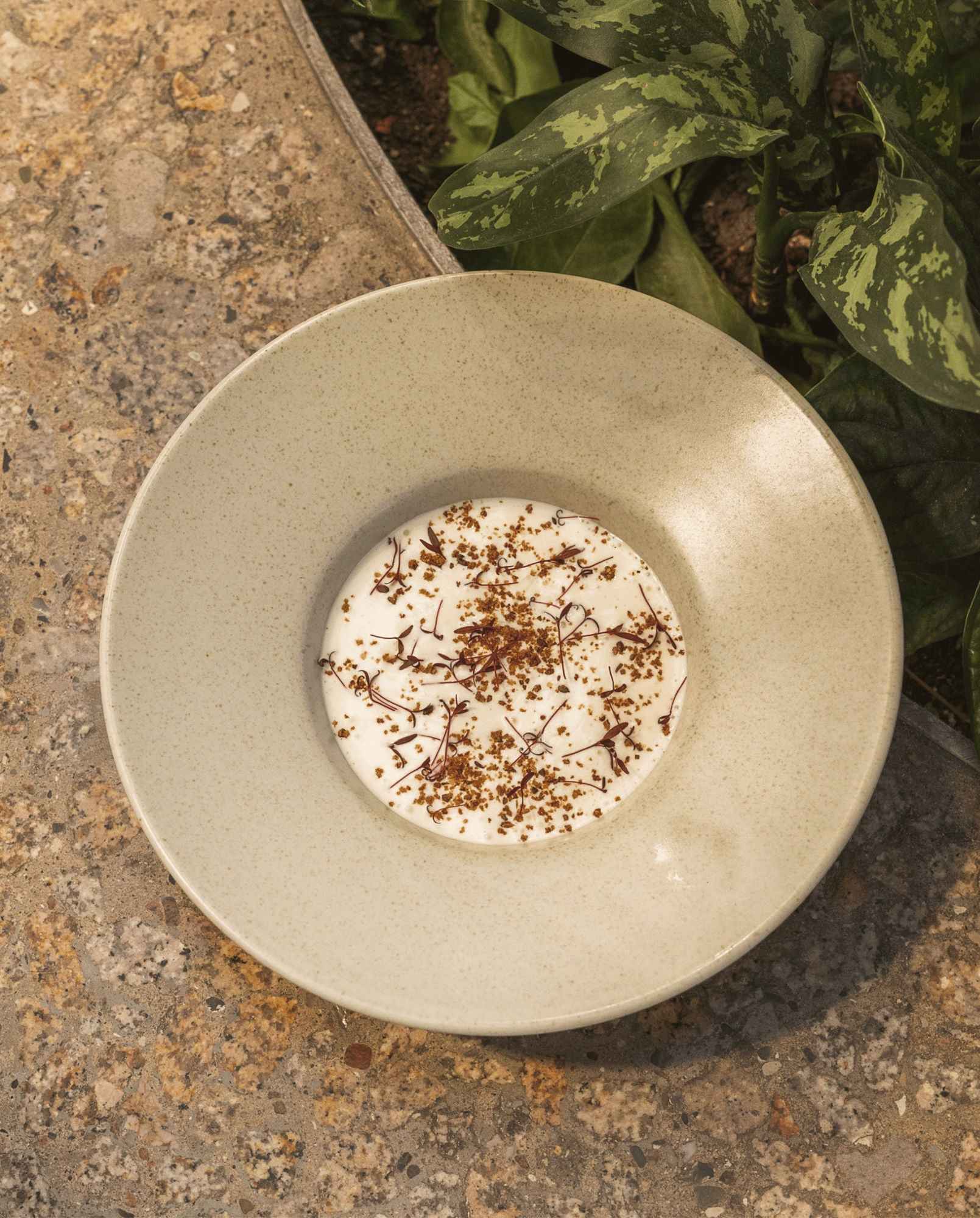 GRAWA pasta plate, ivory