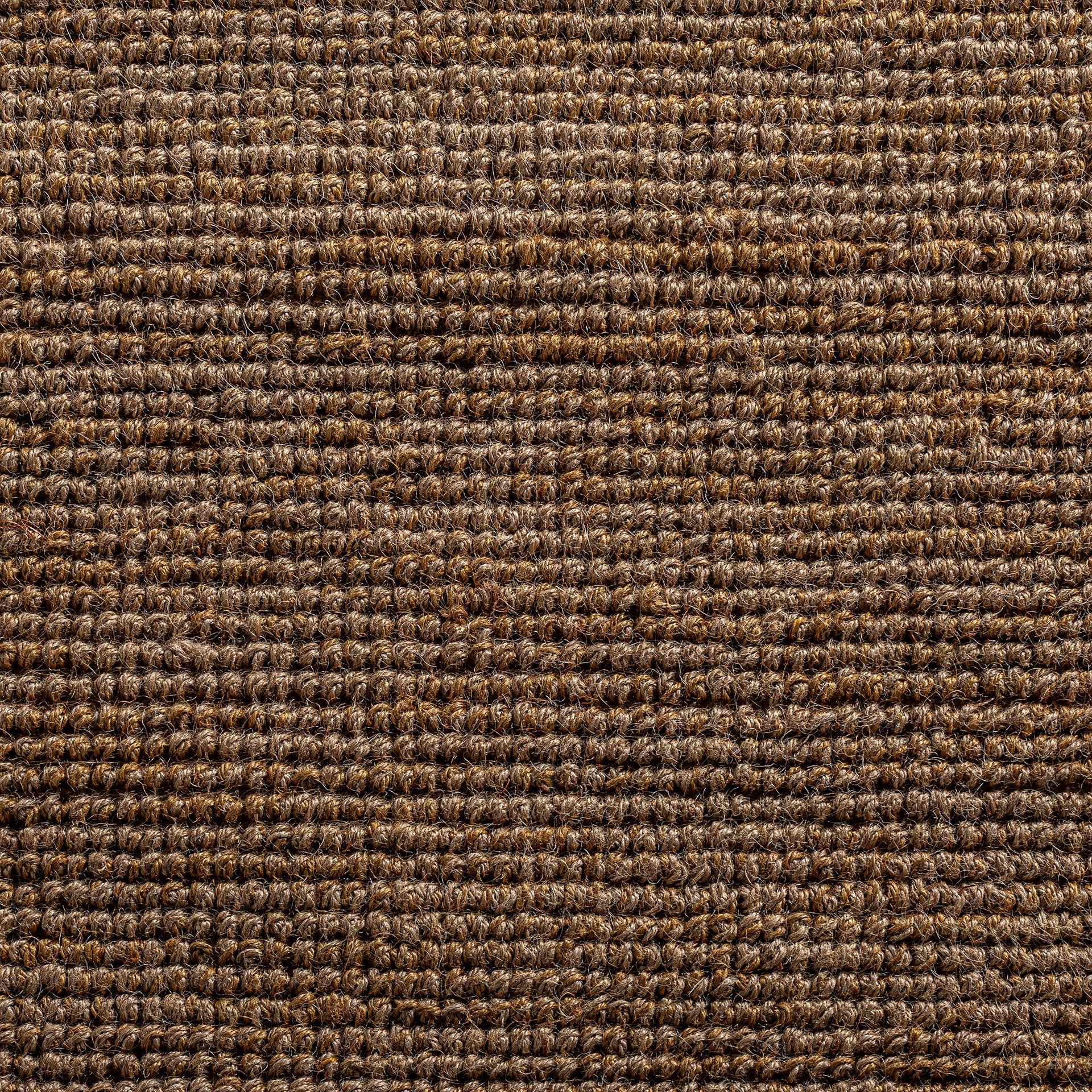 Tish Carpet