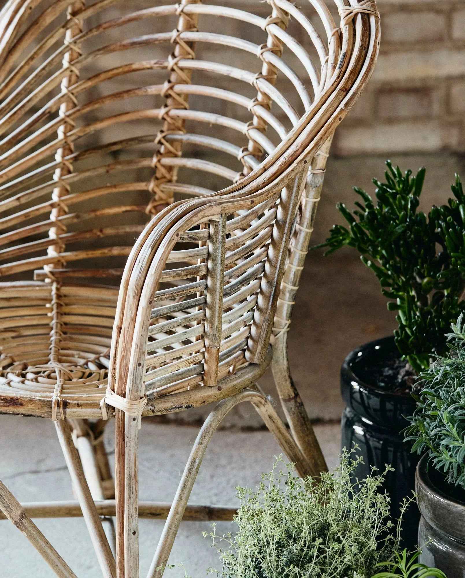 CANIA bamboo chair, natural