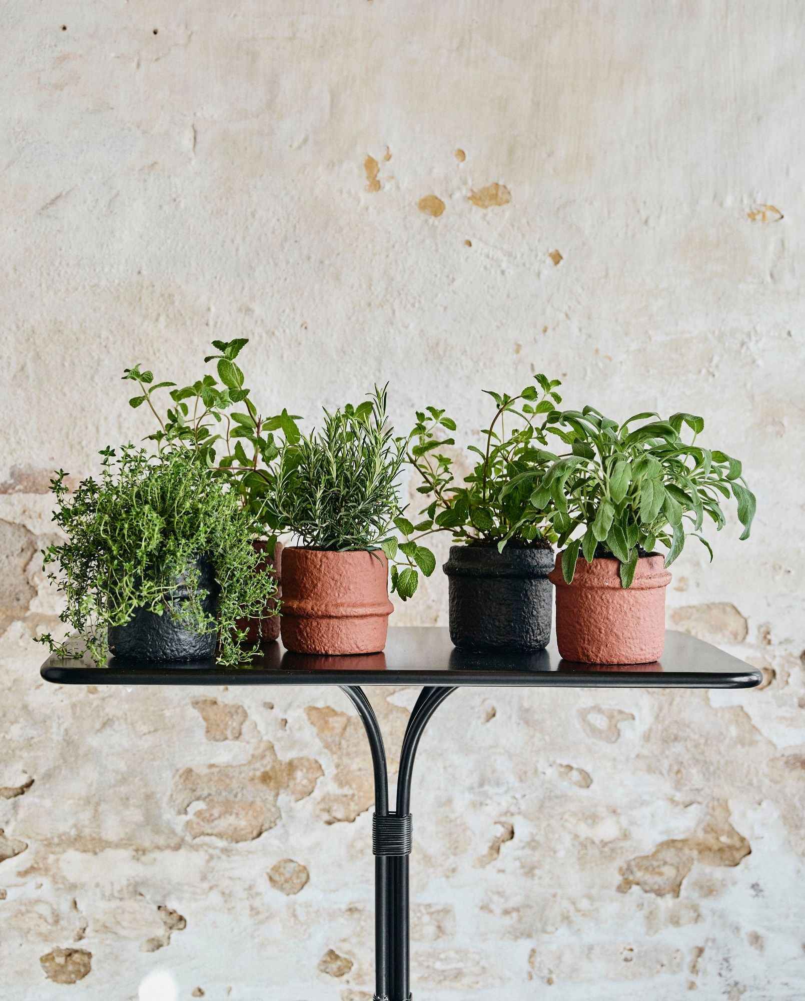 OLIVO garden table - black