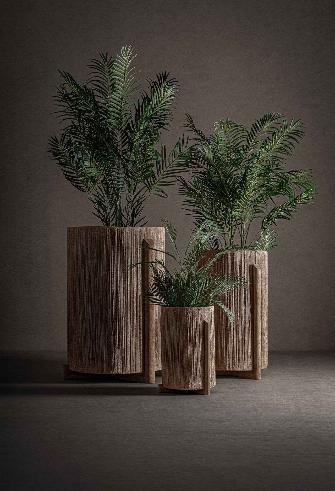 Jacquard Plant Pot XL